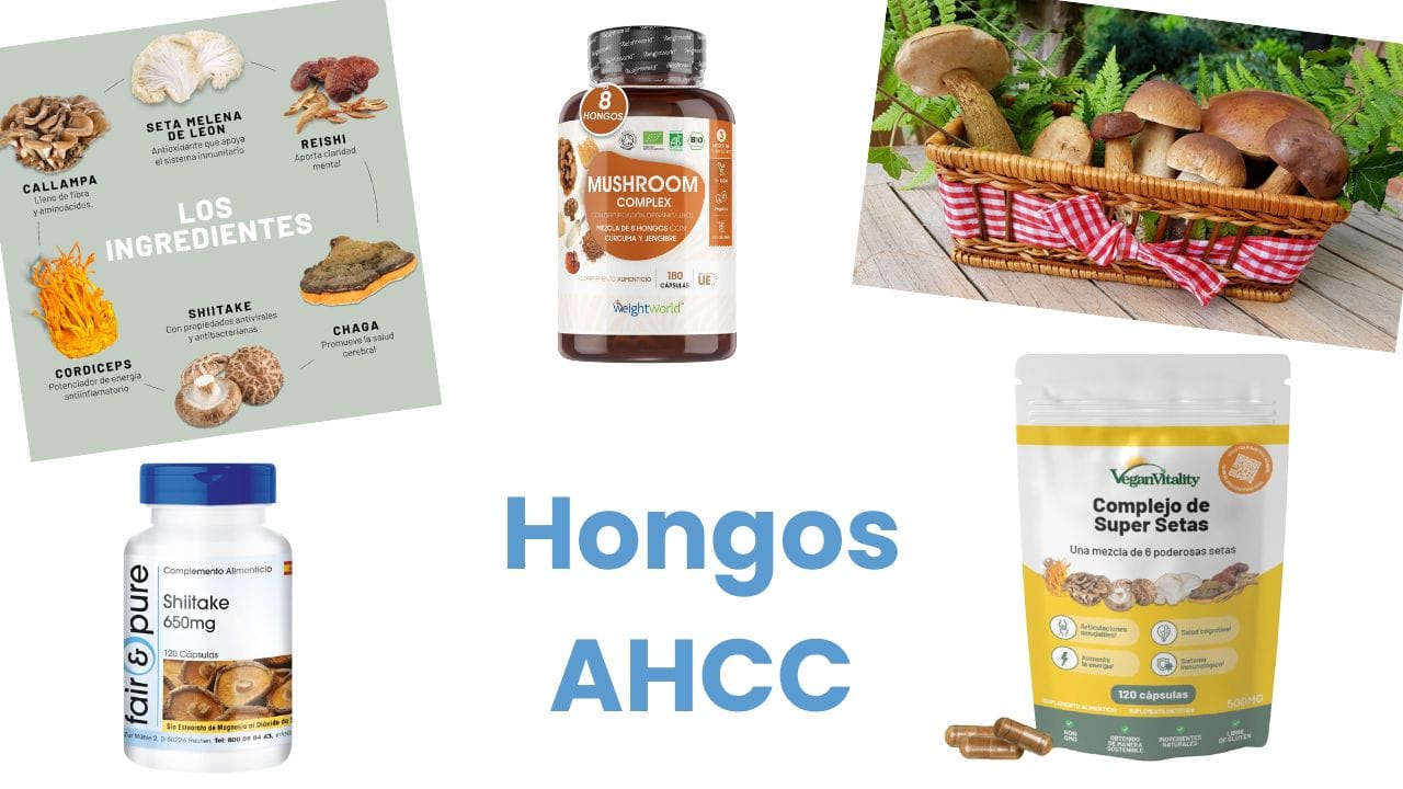 Hongos AHCC