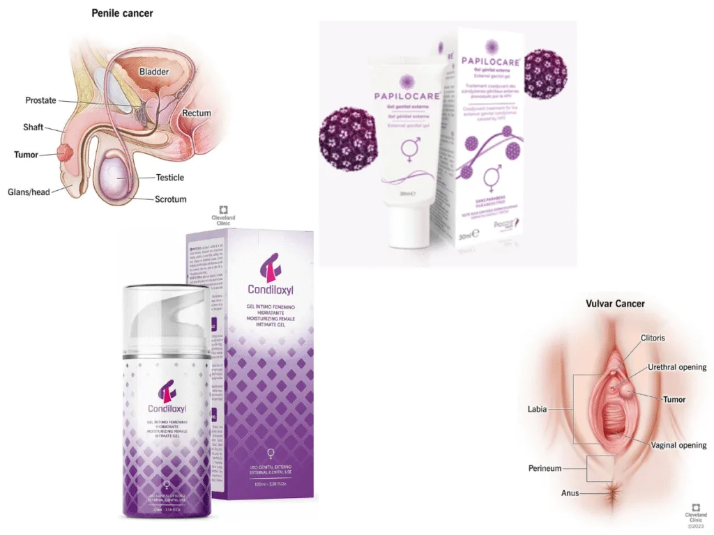 Gel genital VPH