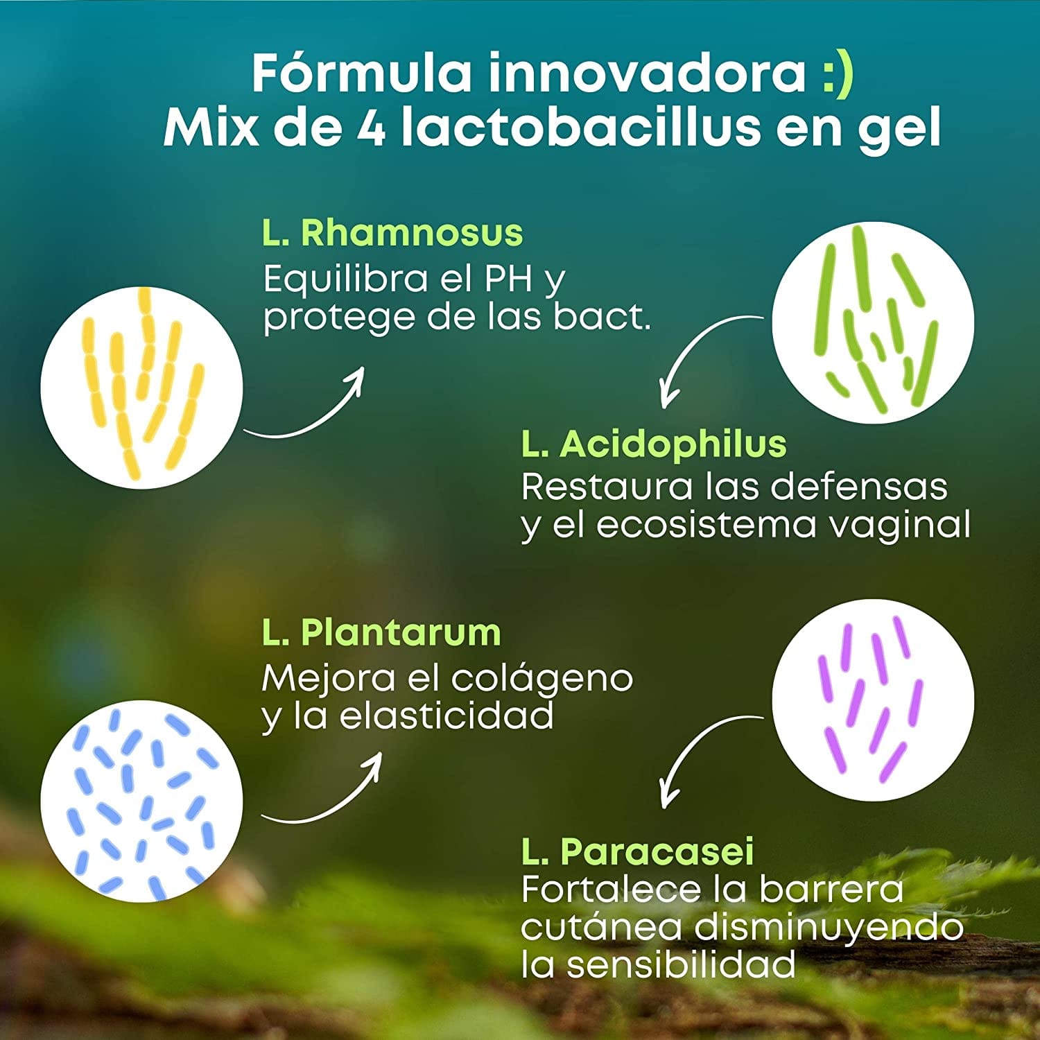 GYNEBAL CALM Gel vulvar 50 ml - Imagen 2