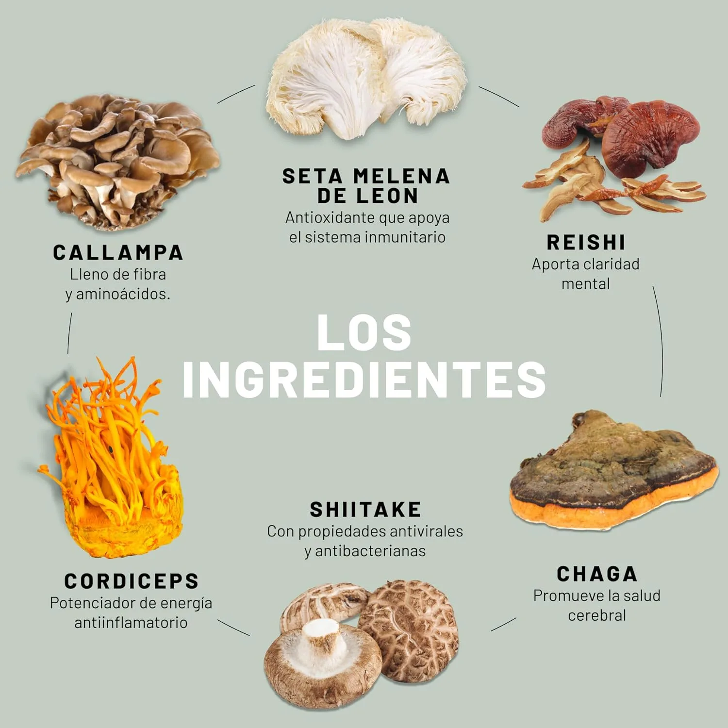 VEGAN VITALITY suplemento 6 hongos AHCC, 120 cápsulas - Imagen 2