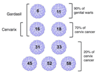 Virus VPH alto riesgo