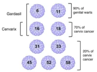 Virus VPH alto riesgo