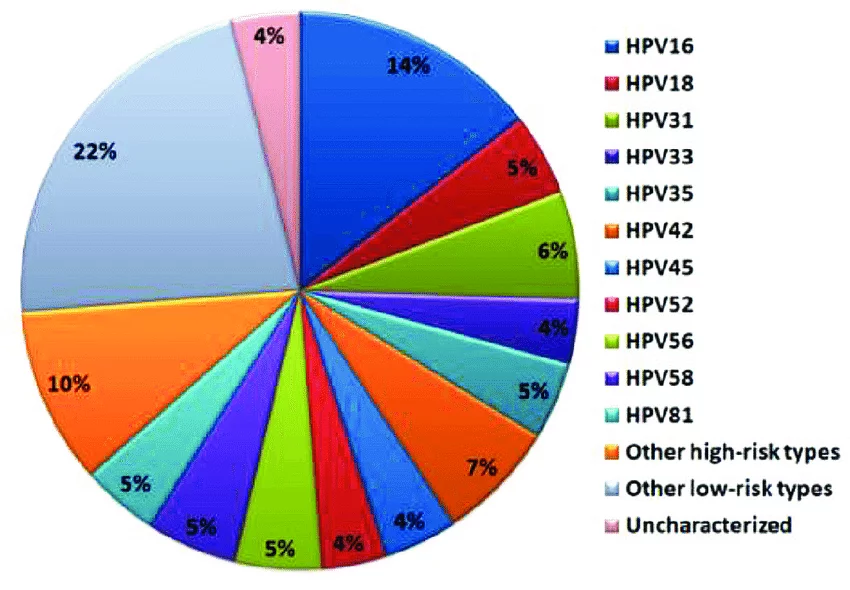 Ditribución virus VPH