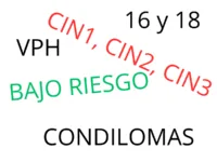 Diccionario VPH