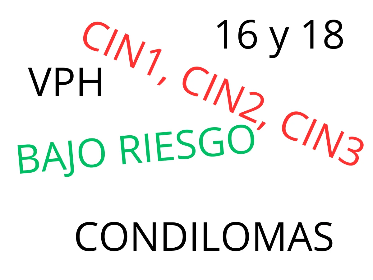 Diccionario VPH