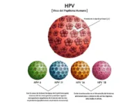 Tipos virus VPH